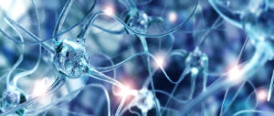 Understanding the Nervous System in Healing